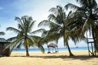 ハワイイメージ